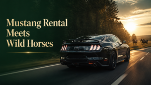 Creating a video for a car rental company it was one of the most fun experiences that we have done.